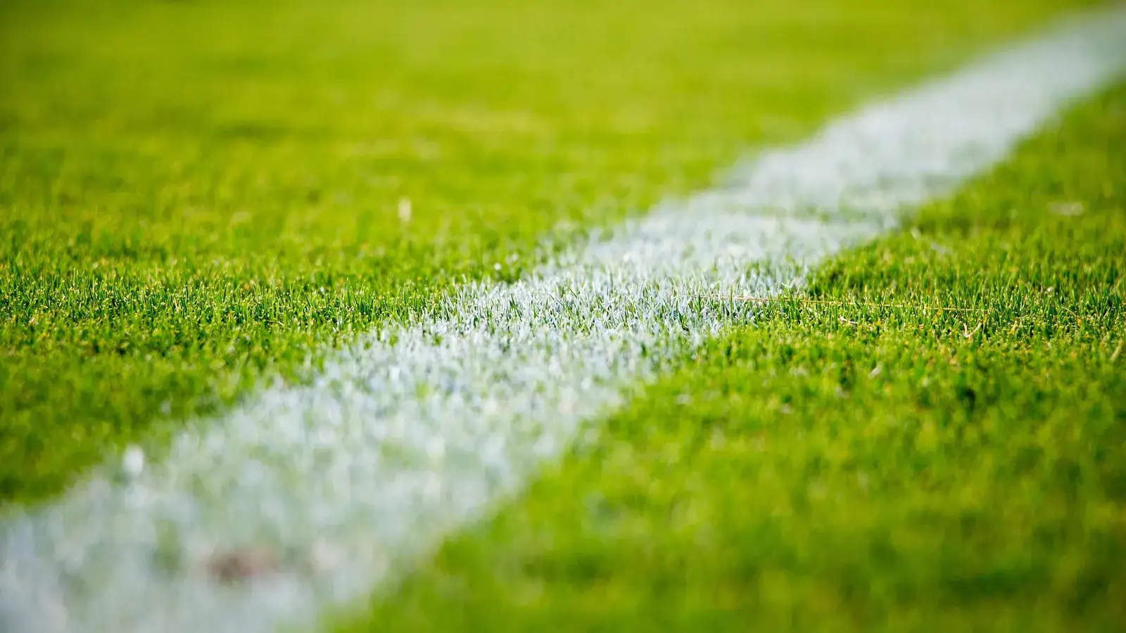White touchline on bright green grass, shallow depth of field