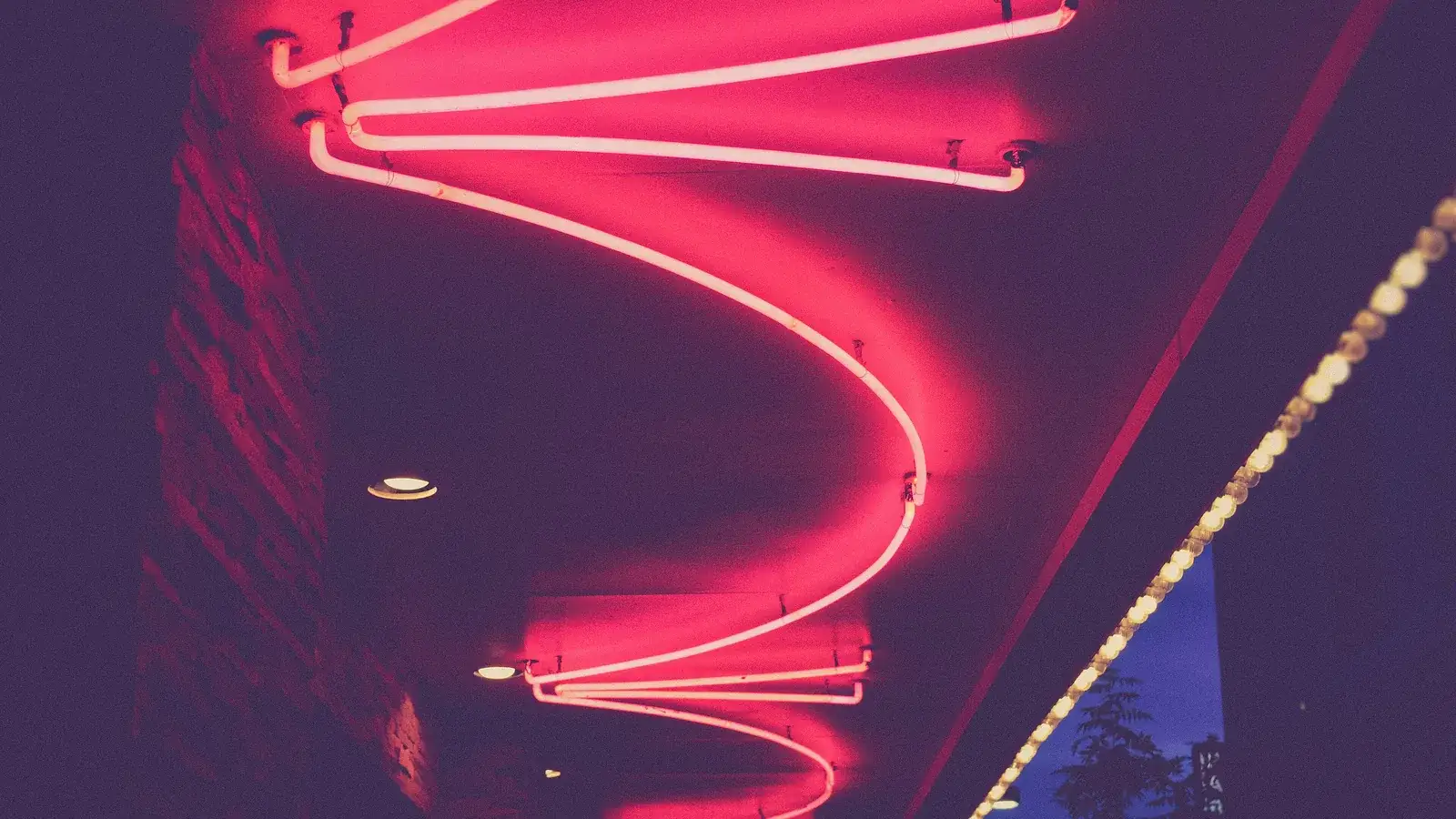 Curving pink neon light tubes on a dark ceiling